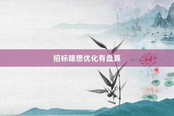 招标瞎想优化有盘算