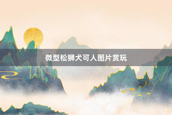 微型松狮犬可人图片赏玩