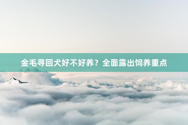 金毛寻回犬好不好养？全面露出饲养重点