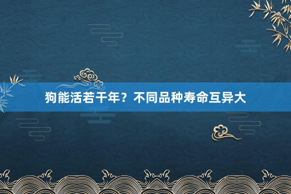 狗能活若干年？不同品种寿命互异大