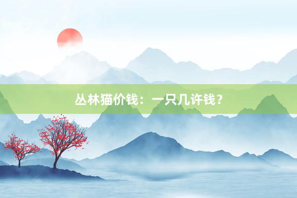 丛林猫价钱：一只几许钱？